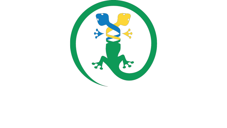 Newt Brothers Artisanal